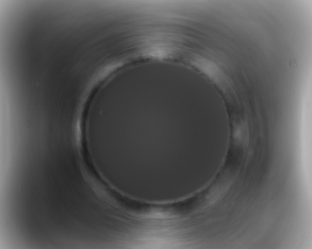 X0000088640678200706011203