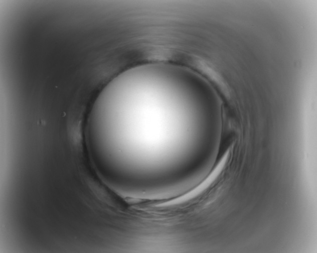 X0000088640681200706011203