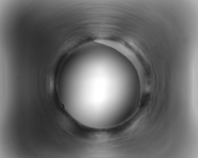 X0000088640685200706011203