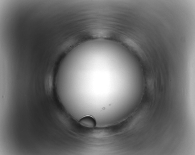 X0000088640686200706011203