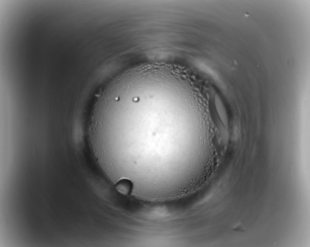 X0000088640687200706011203