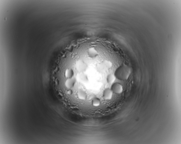 X0000088640691200706011203