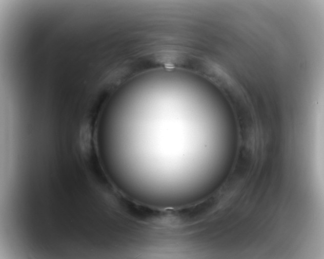 X0000088640696200706011203