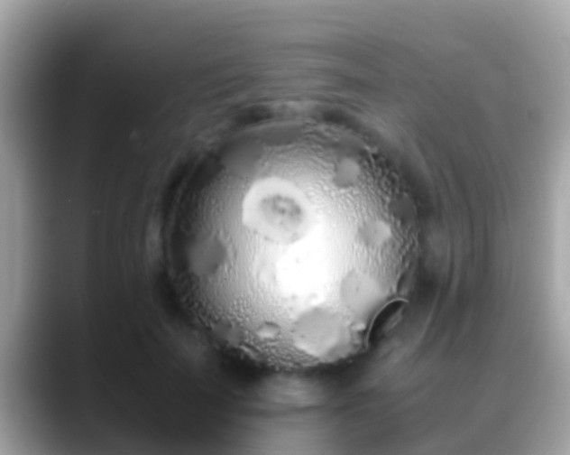X0000088640699200706011203