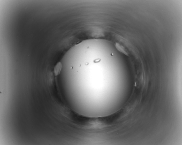X0000088640704200706011203