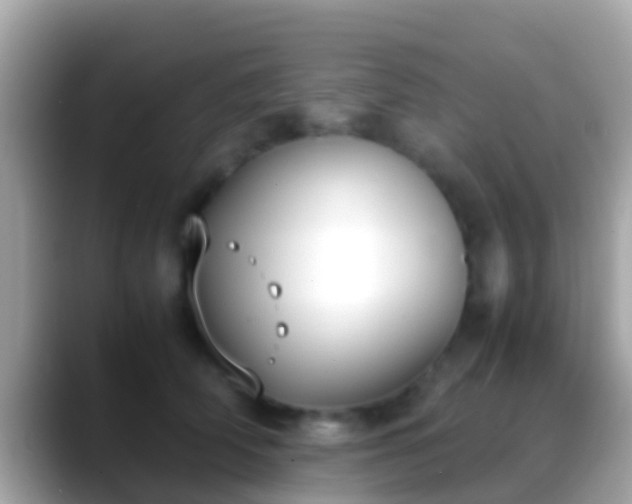 X0000088640706200706011203