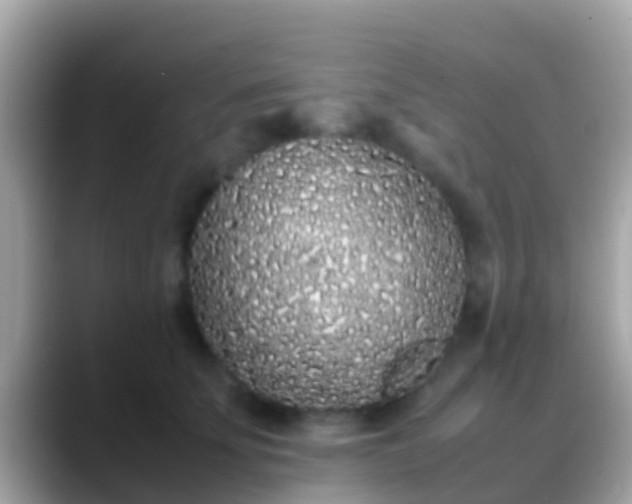 X0000088640707200706011203