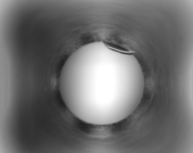 X0000088640709200706011203
