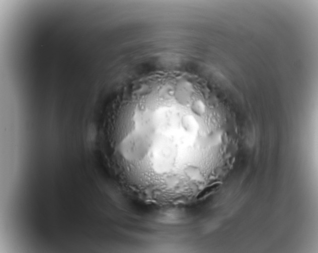 X0000088640711200706011203