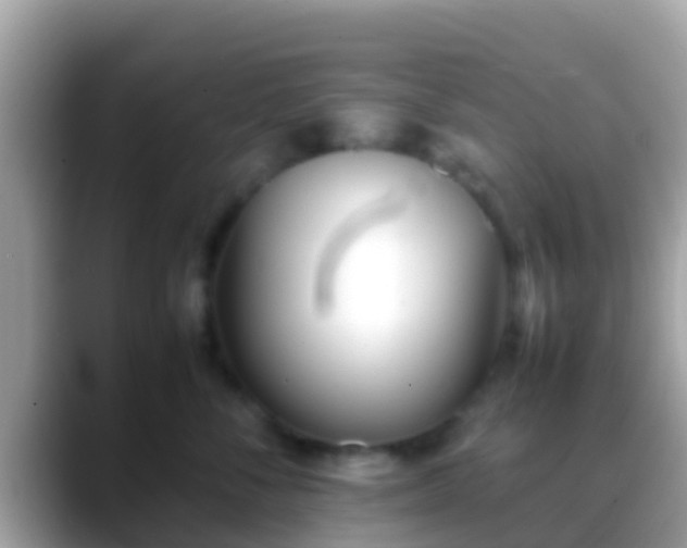 X0000088640716200706011203