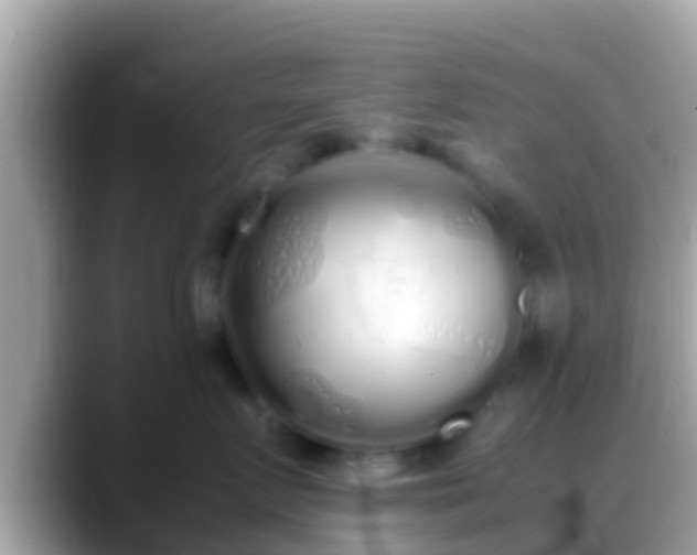 X0000088640719200706011203