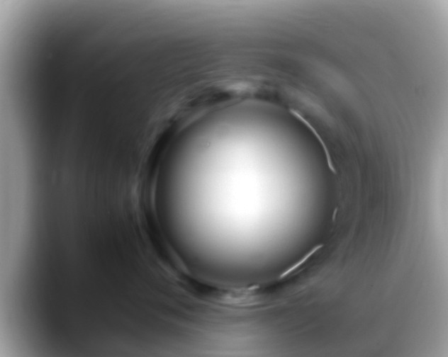 X0000088640720200706011203