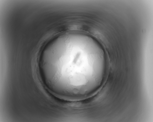 X0000088640721200706011202