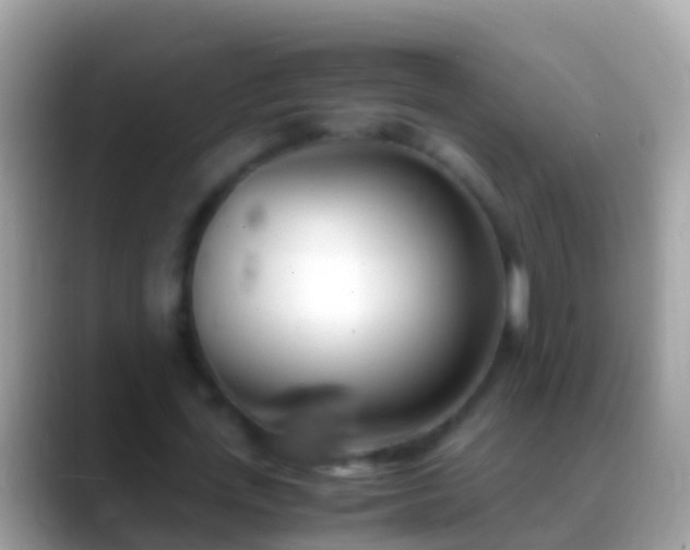 X0000088640723200706011202