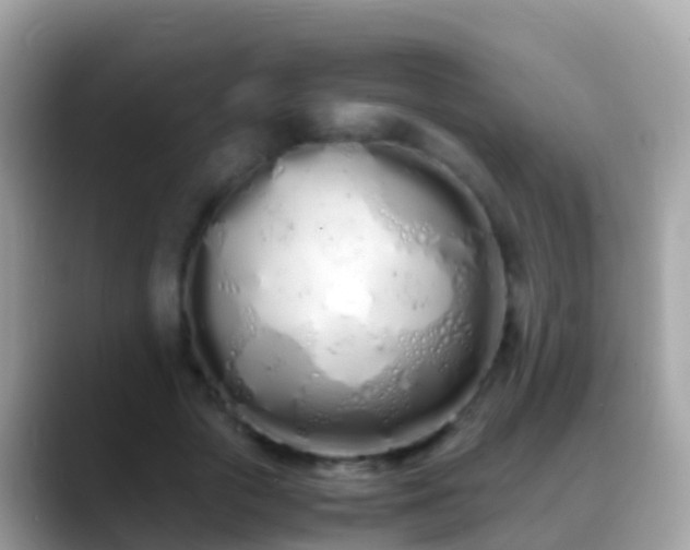 X0000088640729200706011202