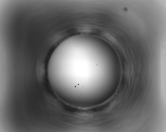X0000088640731200706011202