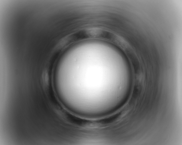X0000088640734200706011202