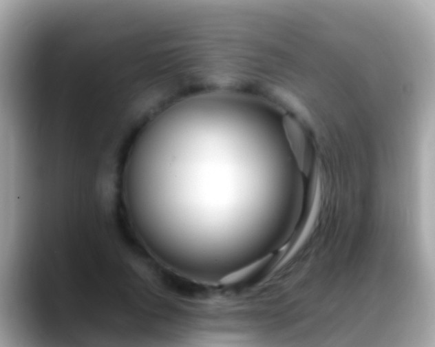 X0000088640736200706011202