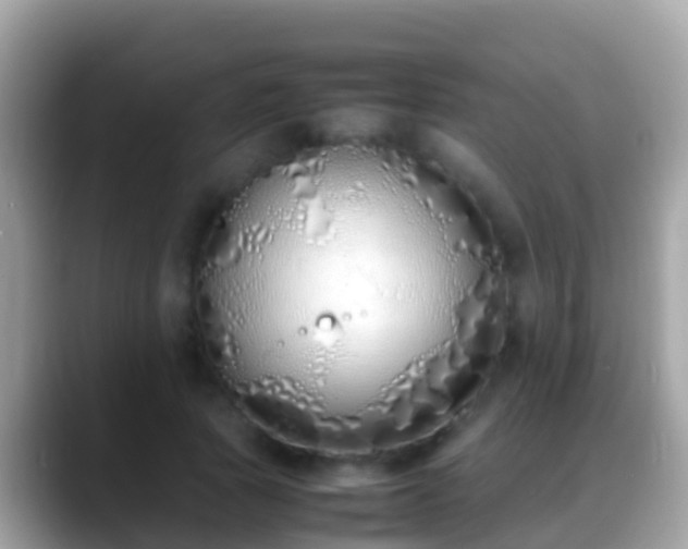 X0000088640737200706011202