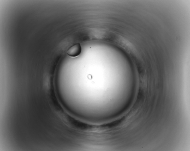 X0000088640738200706011202