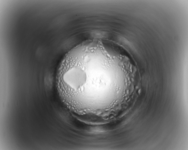 X0000088640741200706011202