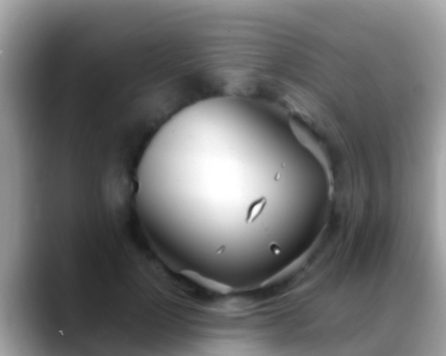 X0000088640748200706011203