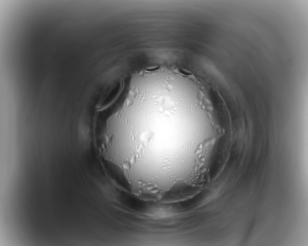X0000088640749200706011203