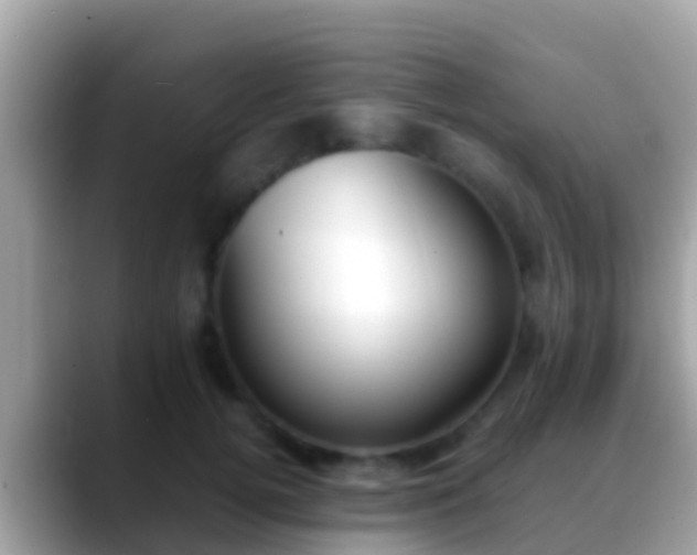 X0000088640752200706011203