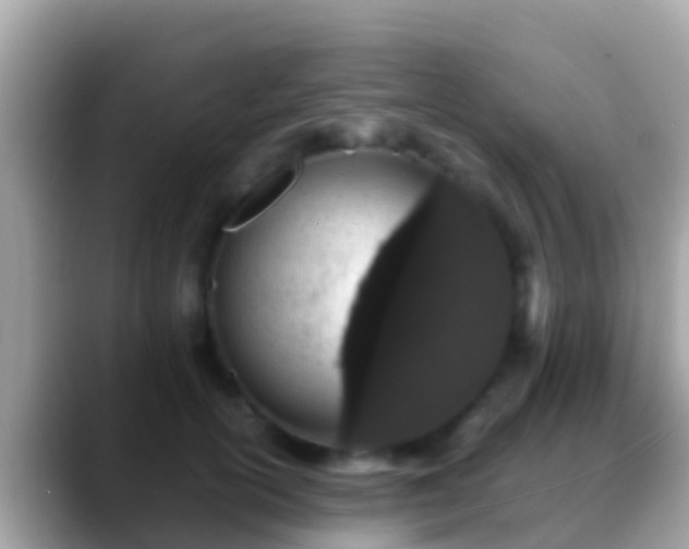 X0000088640754200706011203
