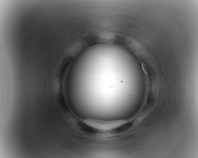 X0000088640758200706011203