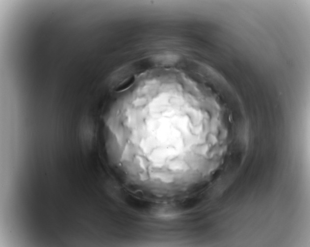 X0000088640761200706011203