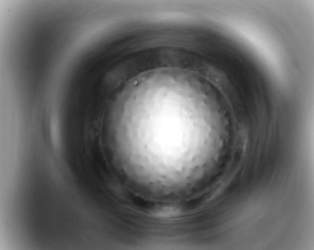 X0000088640765200706011203