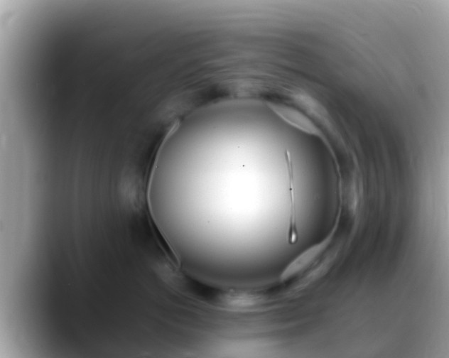 X0000088640766200706011203