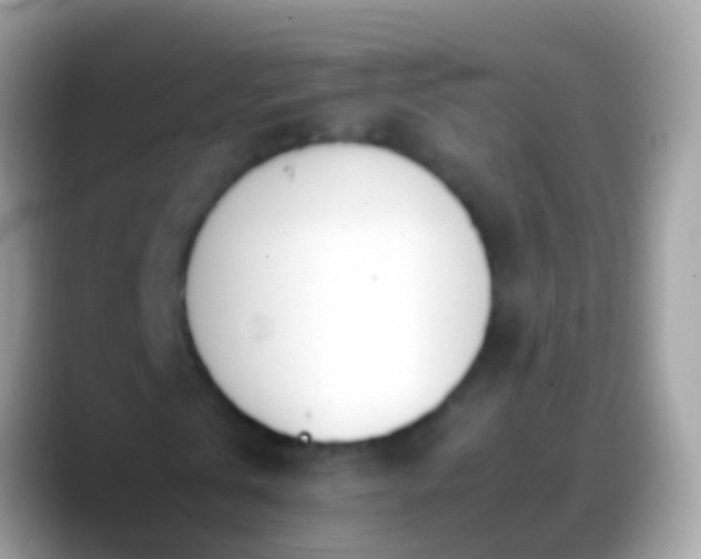 X0000088640769200706011202