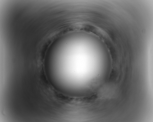 X0000088640773200706011202