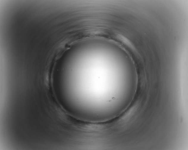 X0000088640777200706011202