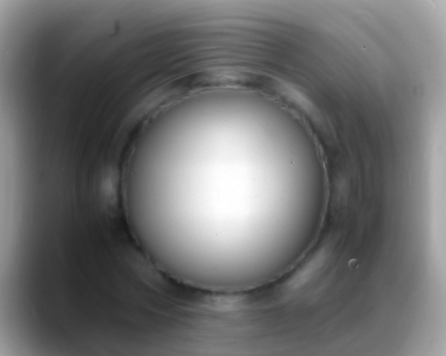X0000088640778200706011202