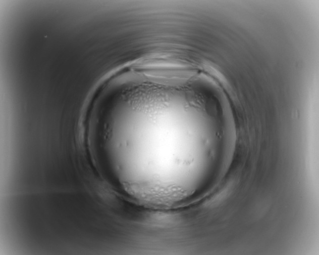X0000088640779200706011202