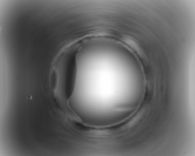 X0000088640781200706011202