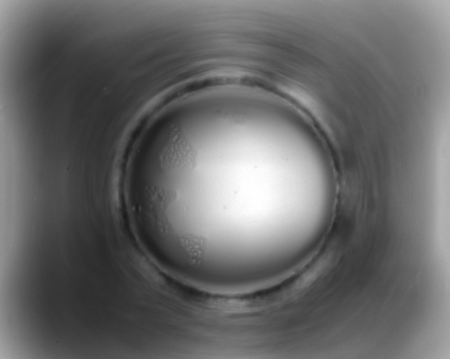 X0000088640783200706011202