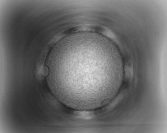 X0000088640785200706011202