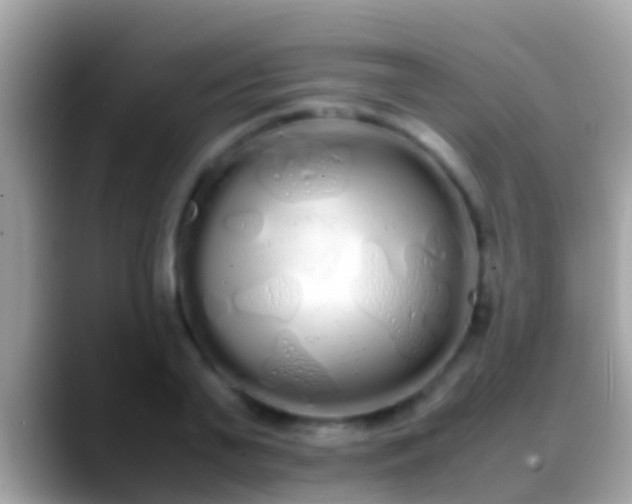 X0000088640791200706011202