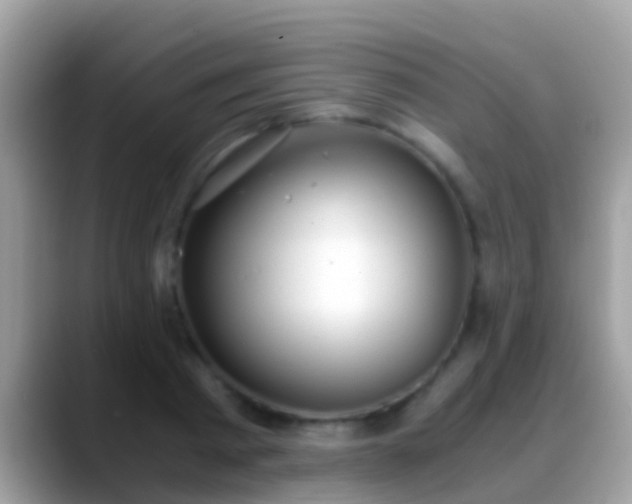 X0000088640793200706011202