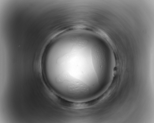 X0000088640795200706011202