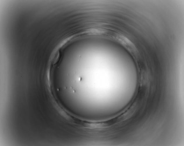 X0000088640796200706011202
