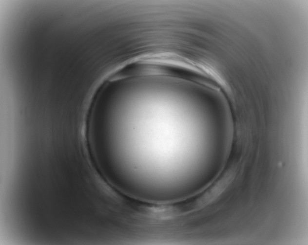X0000088640797200706011202
