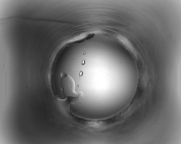 X0000088640805200706011202