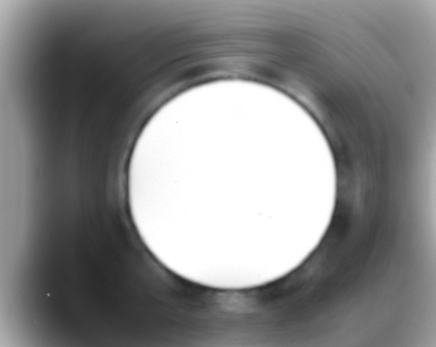 X0000088640807200706011202