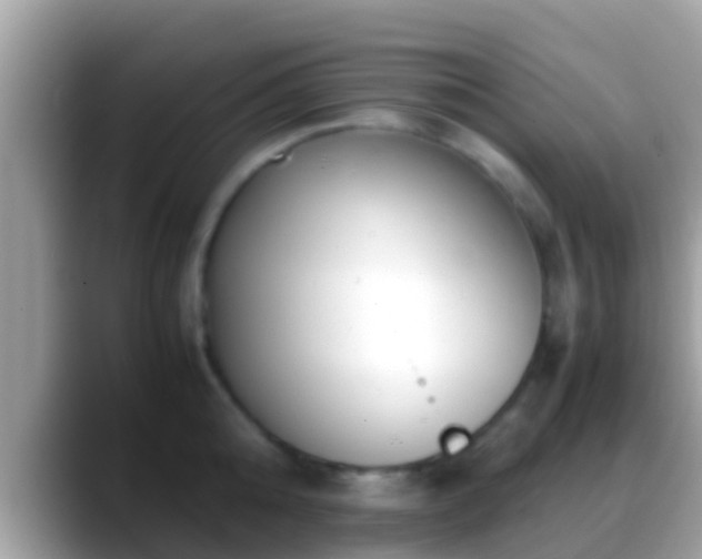 X0000088640808200706011202