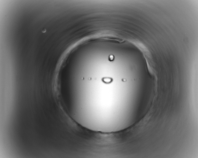 X0000088640816200706011202